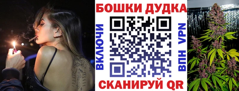 где купить наркоту блэк спрут зеркало Канабис планчик Новосиль